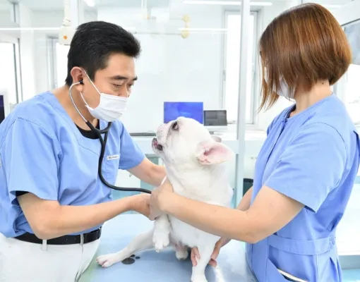 通常診療･予防接種