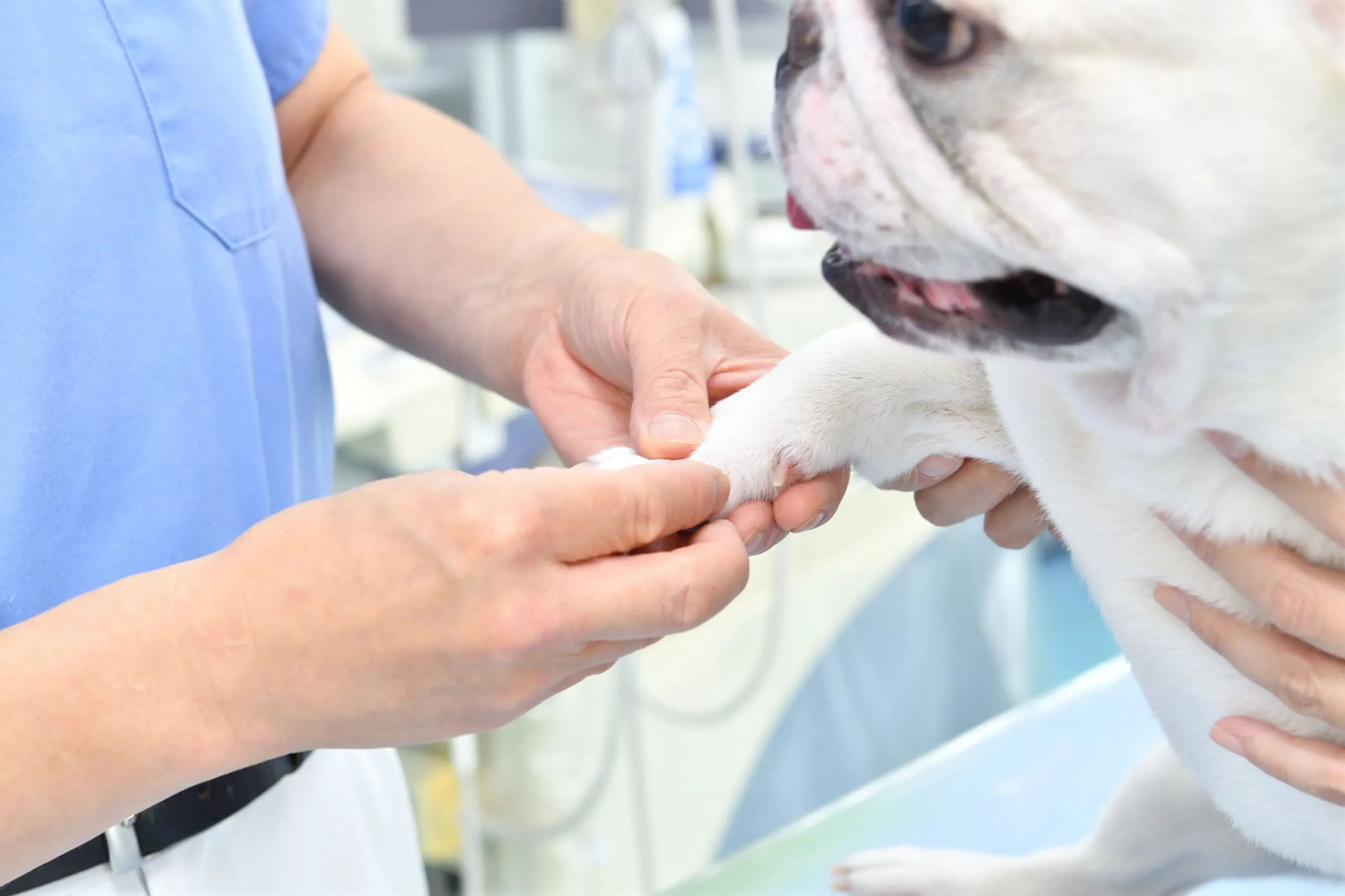 快適な入院環境