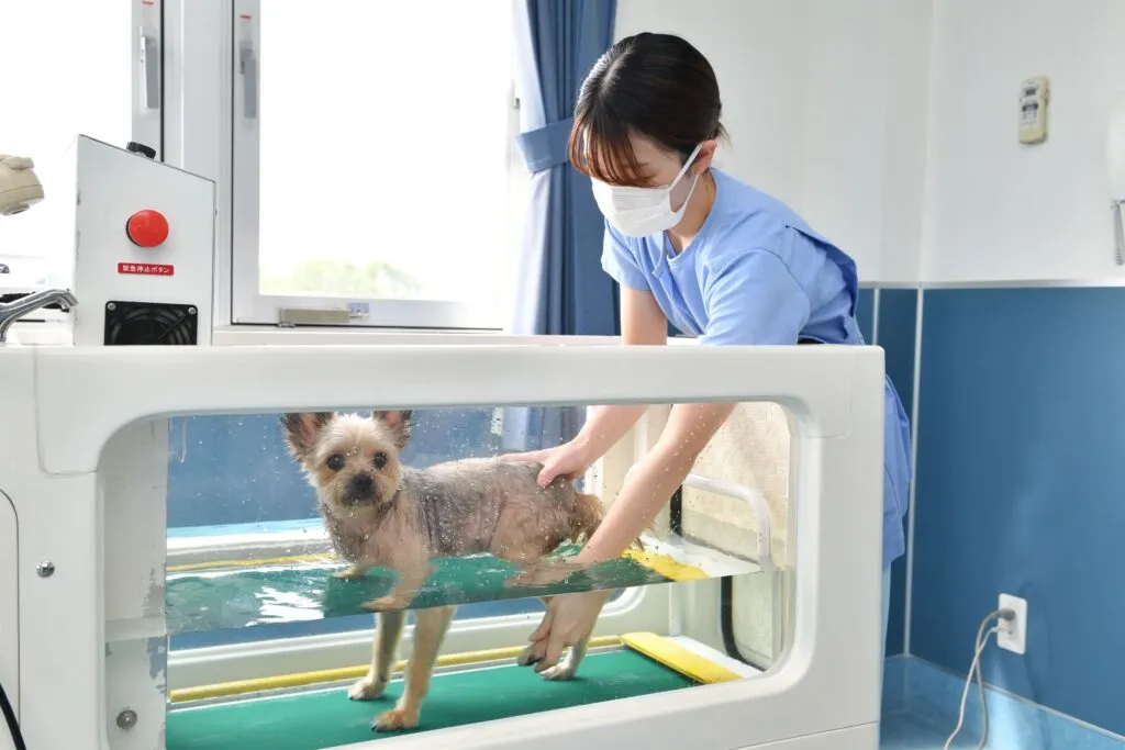 負担が少ない水中レッドミル