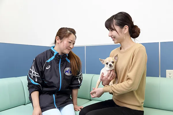 術後の治療にも対応